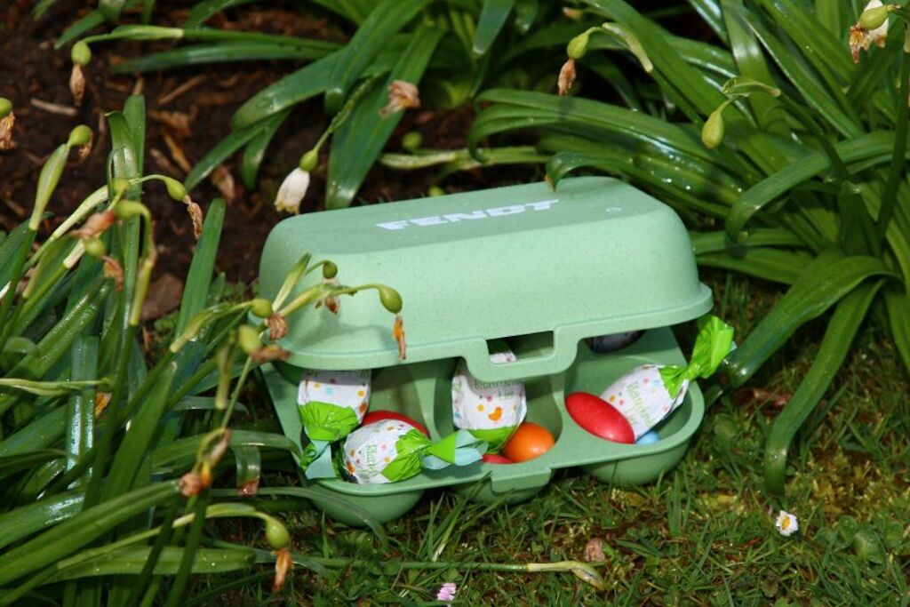 Fendt 6er Eierbox 