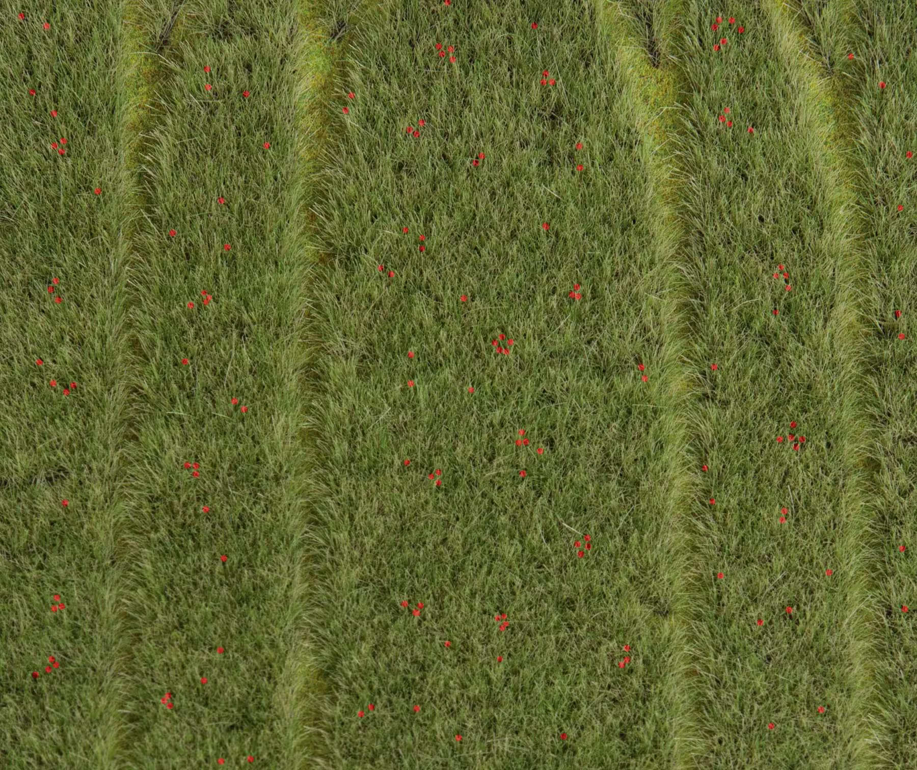 Getreidefeld mit Mohnblumen Modell von Gebr. Faller 1:87 eilbote-onlineshop - Agrarfox