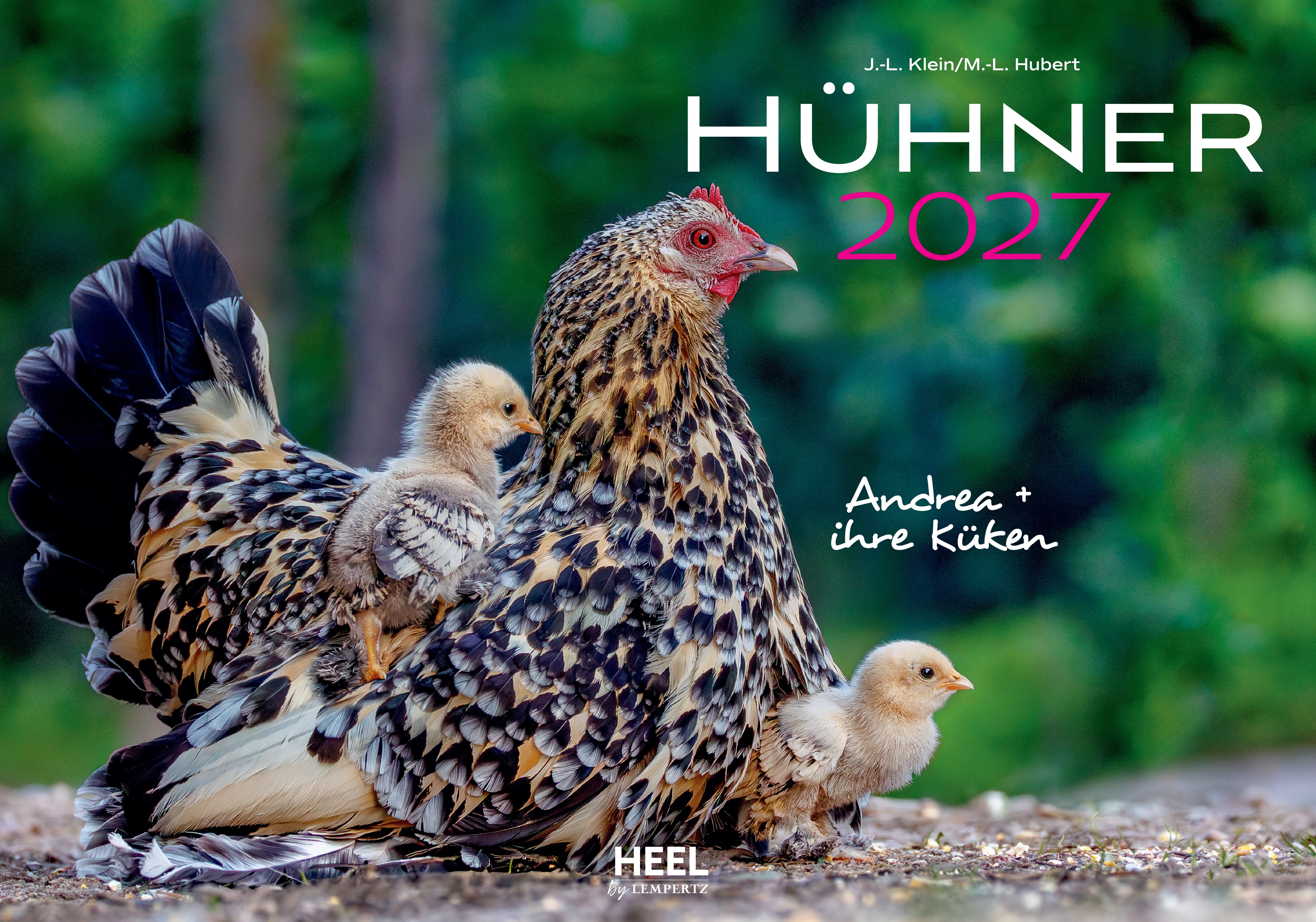 Hühner Monatskalender 2027