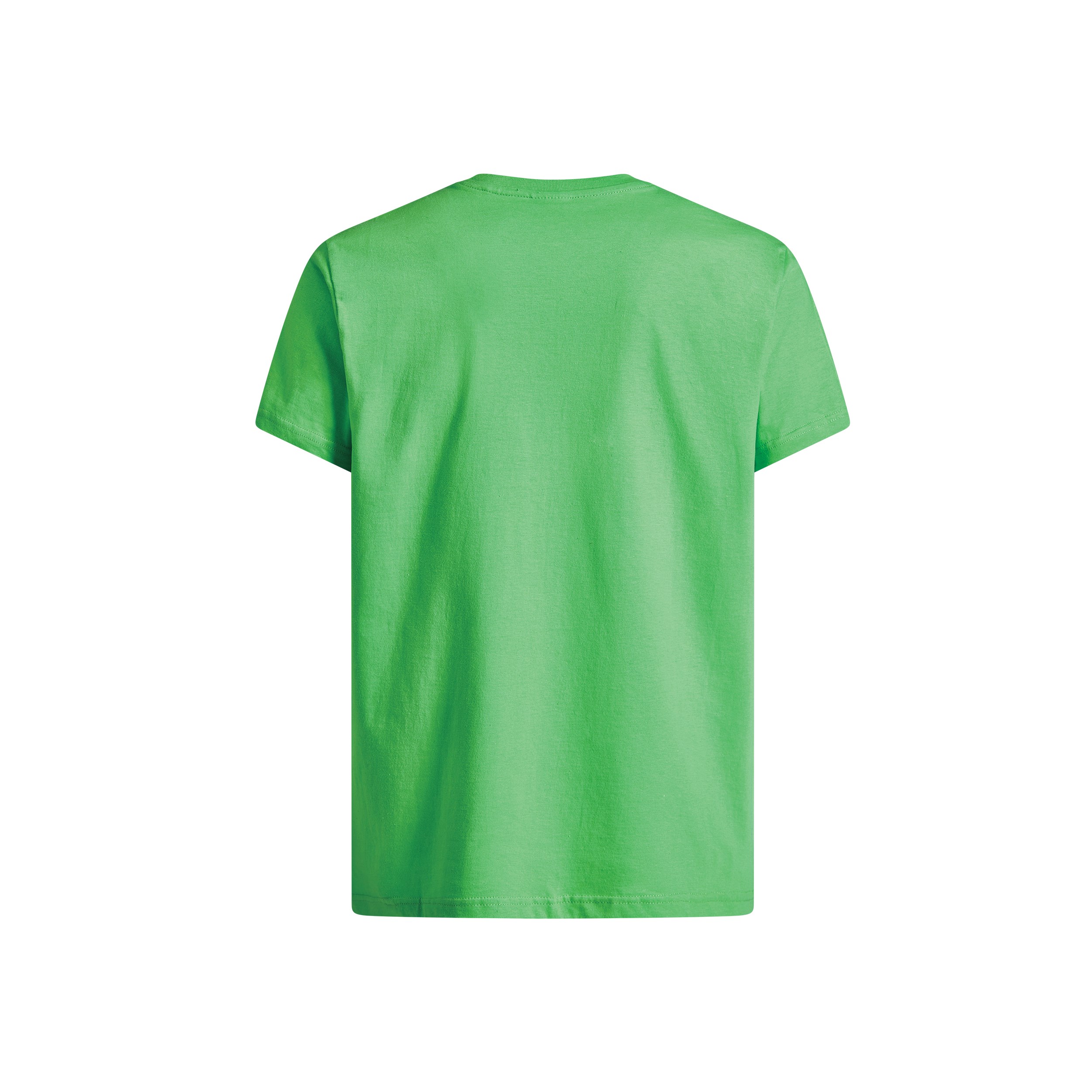 Deutz-Fahr T-Shirt Herren Logo grün