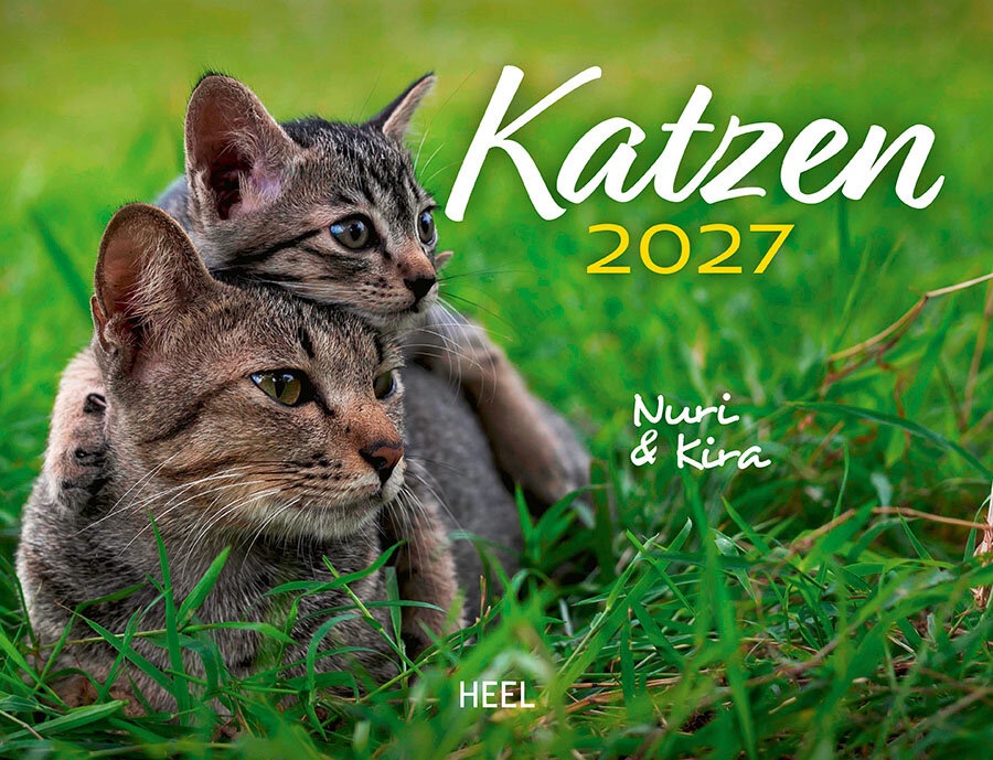 DA76987-1 Artikelname: Katzen Monatskalender 2027 Originalhersteller:  Hersteller-Nr: 620524