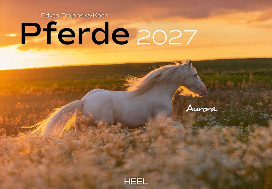 DA76984-1 Artikelname: Pferde Monatskalender 2027 Originalhersteller:  Hersteller-Nr: 620538