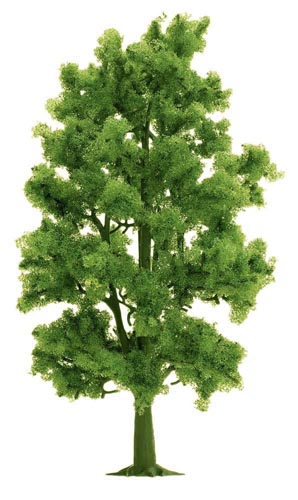 1 Buche 18 cm Modell von Busch 1:87