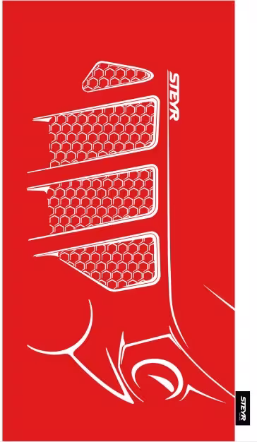 Steyr Badetuch 70x140 cm Rot eilbote-onlineshop - Agrarfox