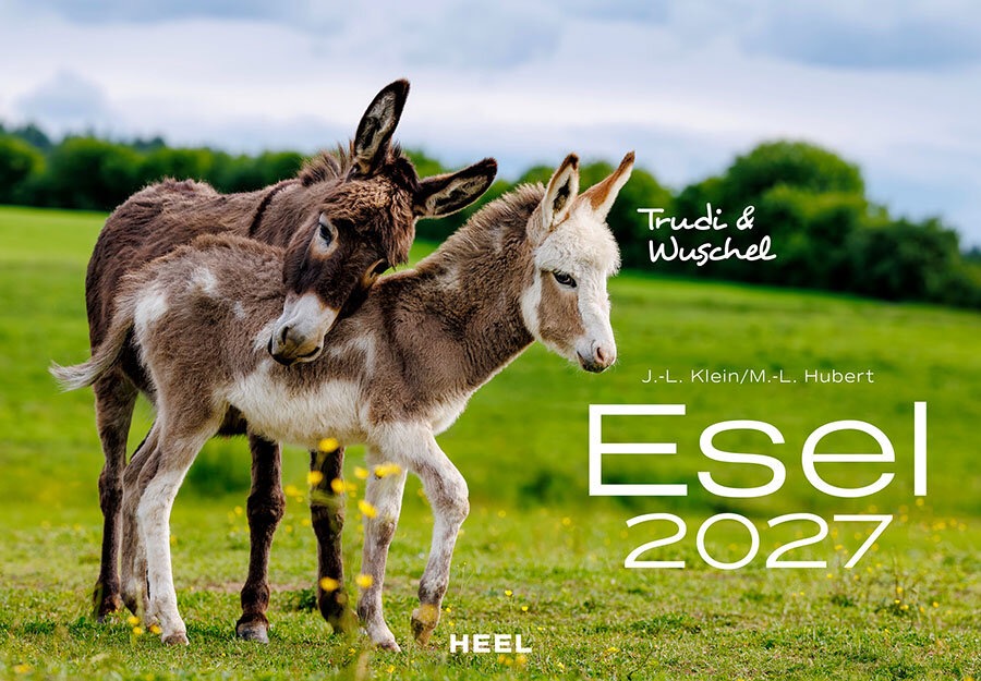 DA76986-1 Artikelname: Esel Monatskalender 2027 Originalhersteller:  Hersteller-Nr: 620537