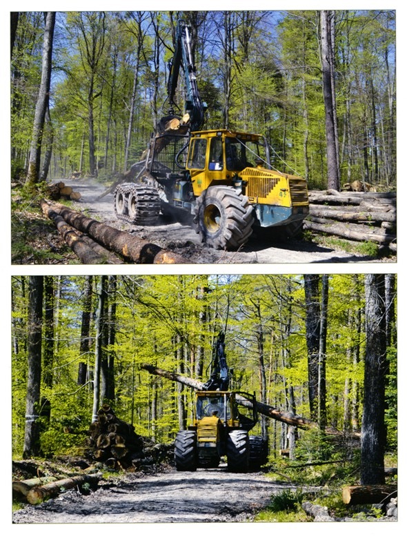 Forstmaschinen im Schwäbischen Wald