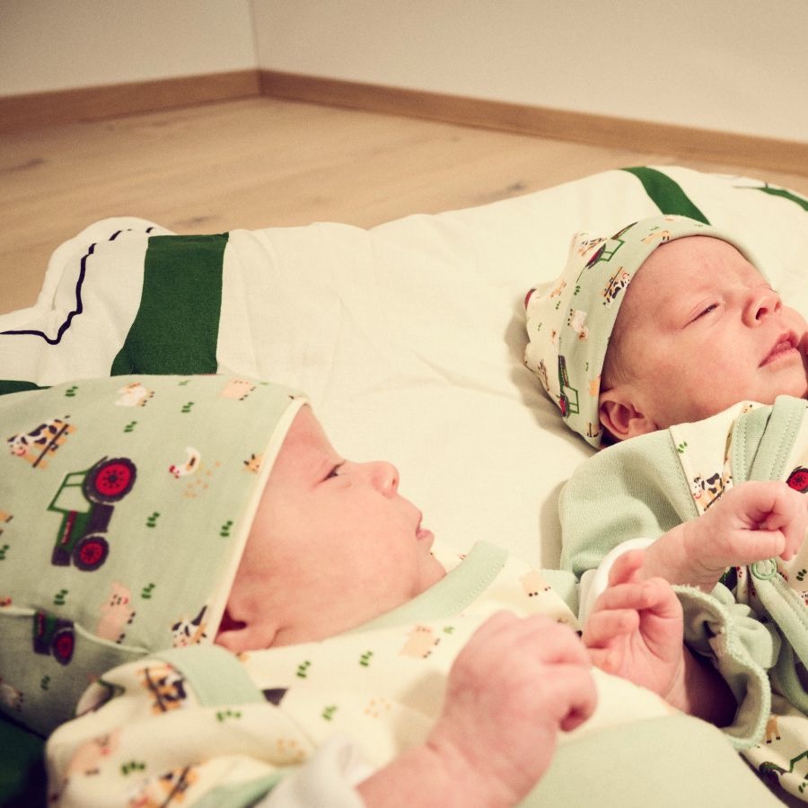 Fendt Baby-Wendekappe