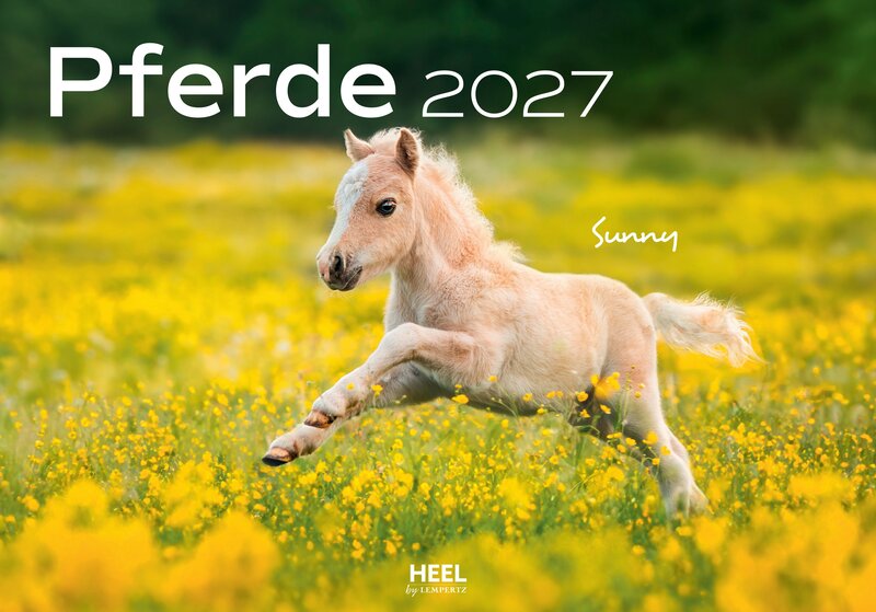 Pferde Monatskalender 2027