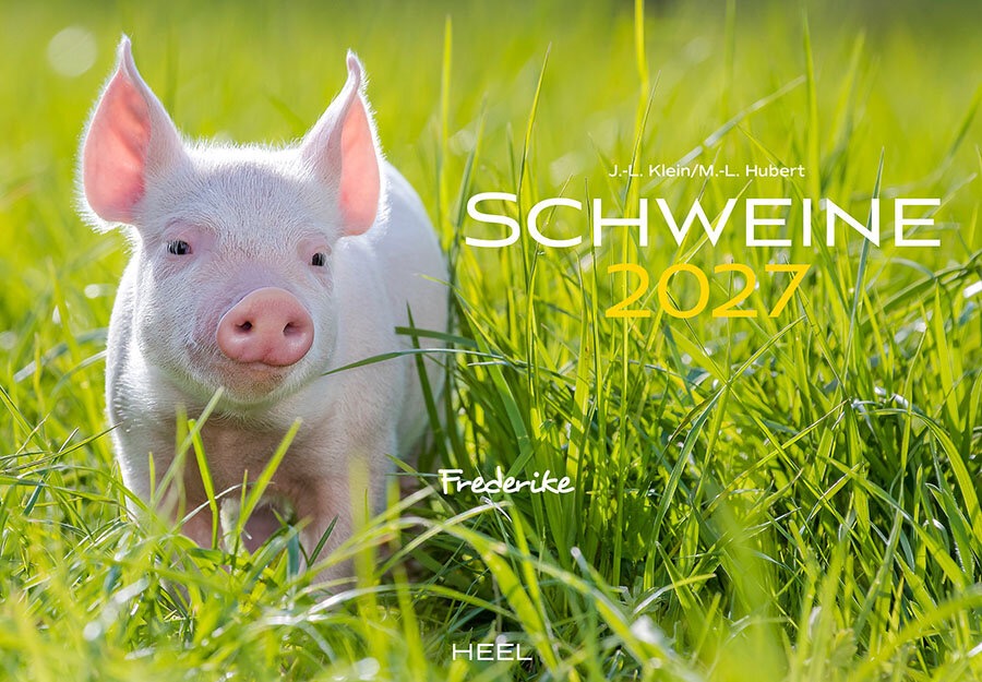 Schweine Monatskalender 2027