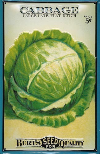 Blechschild „Cabbage“