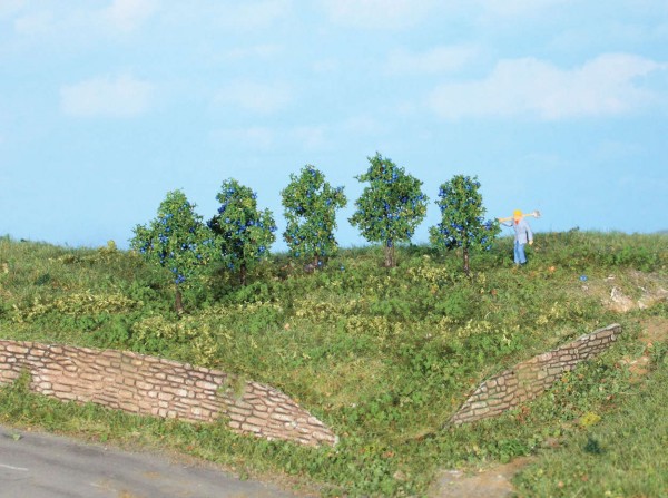 5 Zwetschgenbäume 4 cm Modell von HEKI