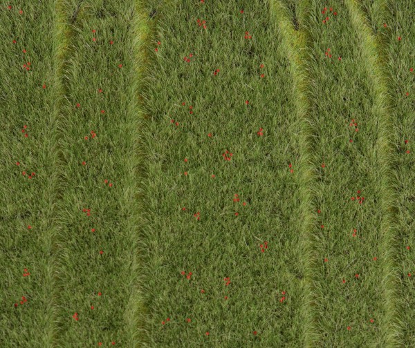 Getreidefeld mit Mohnblumen Modell von Gebr. Faller 1:87
